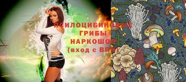 соль ск Елабуга