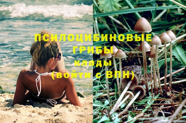 соль ск Елабуга