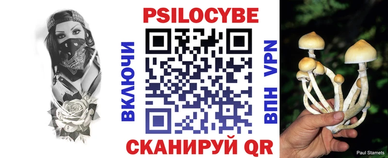 Псилоцибиновые грибы прущие грибы  Купить закладки  Урус-Мартан 