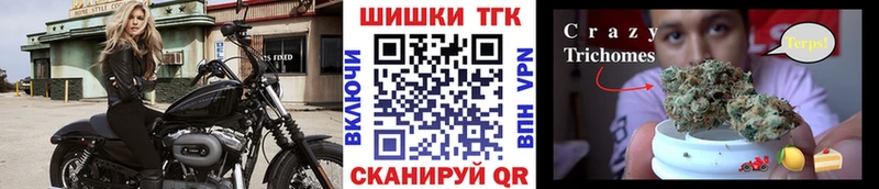 Бошки Шишки MAZAR Урус-Мартан